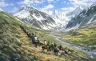 SGM Studios animation background: riders crossing a mountain valley