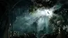 SGM Studios animation background: light breaking through a dark forest canopy